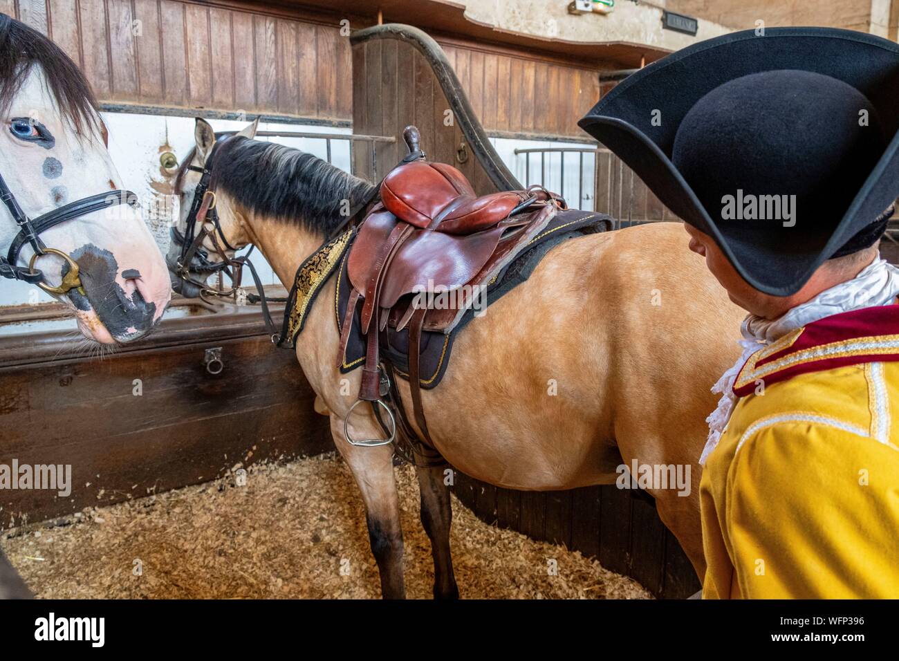 France, Oise, Chantilly, Chantilly Castle, the Great Stables, show of