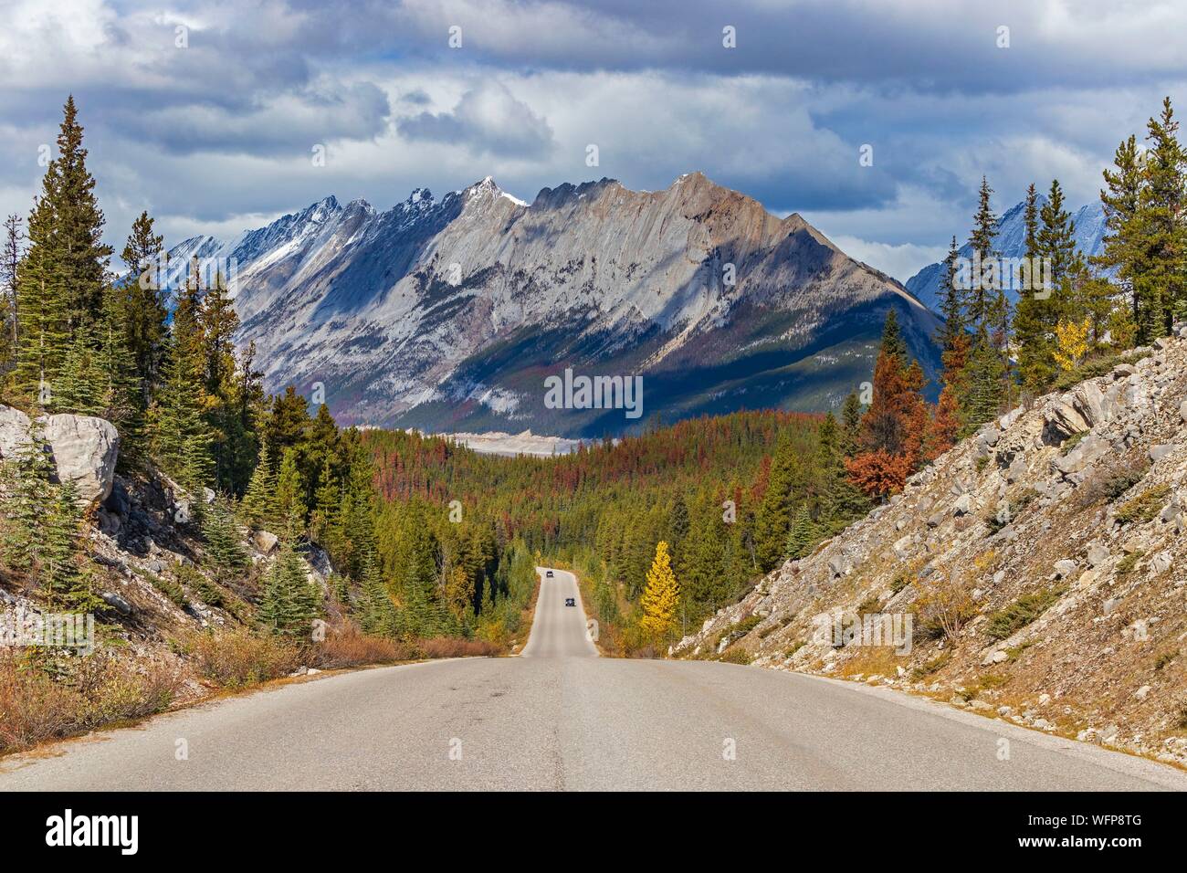 Canada, Alberta, Canadian Rocky Mountains listed as UNESCO World Heritage Site, Jasper National Park, Maligne lake road with the Colin Range in the background Stock Photo