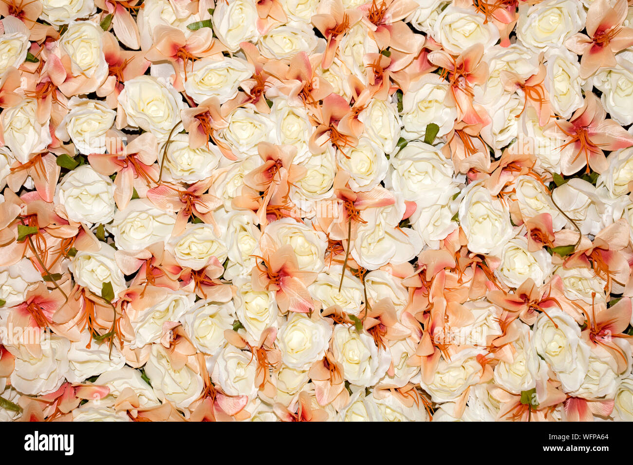 White plastic wedding roses macro background fifty megapixels Stock ...
