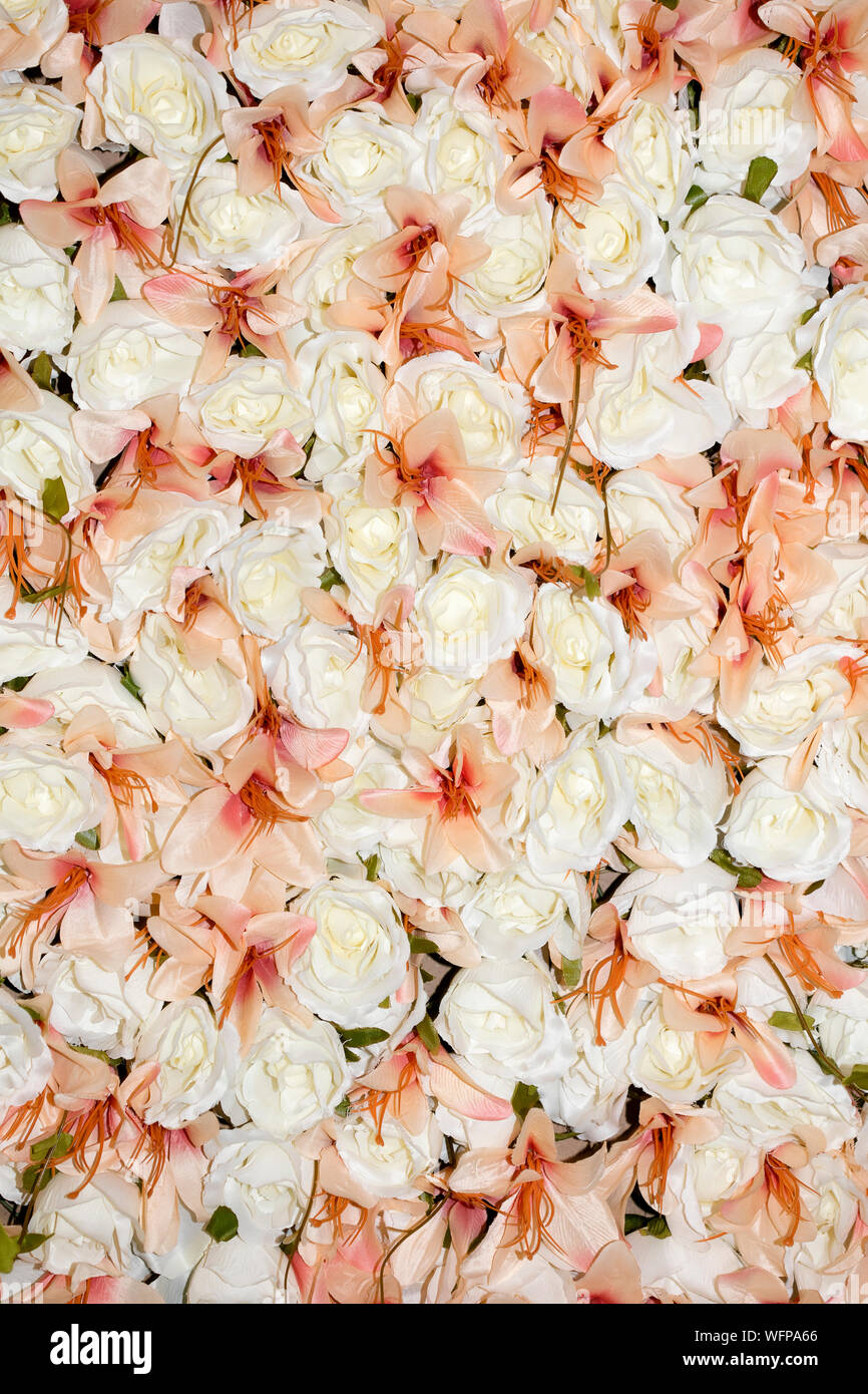White plastic wedding roses macro background fifty megapixels Stock ...