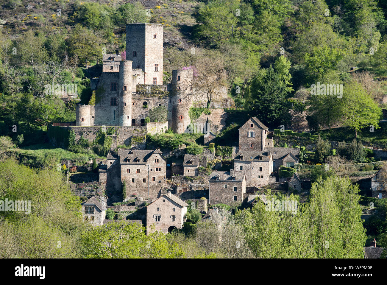 France, Aveyron, Belcastel, labeled the Most Beautiful Villages of France, houses overlooking the Aveyron valley, Chateau de Belcastel, from 10th to 15th Century, a historic monument Stock Photo