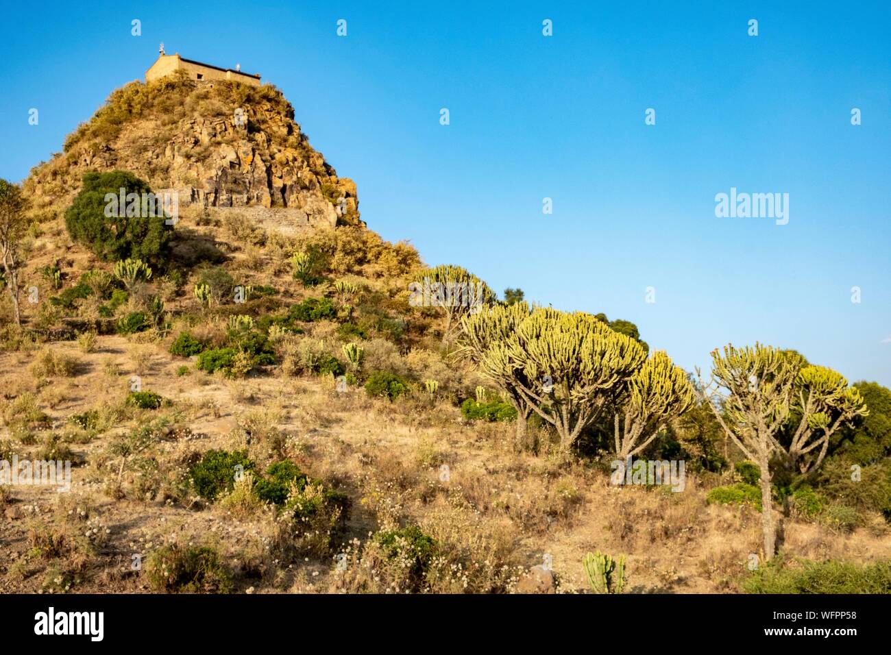 Ethiopia, Tigray regional state, city of Axoum, Abba Pantaleon ...