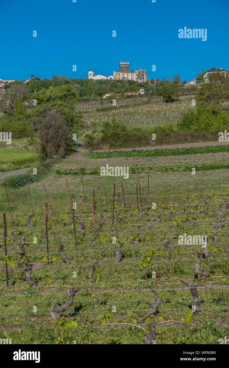 Vineyard dome hires stock photography and images Alamy