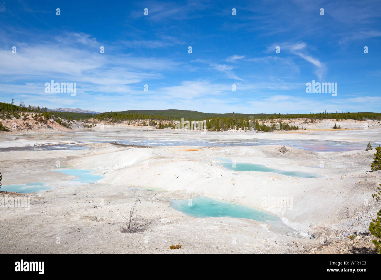 Norris geyser basin in the Yellowstone National park, USA Stock Photo ...