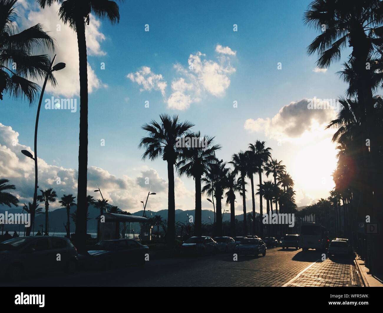 Palm trees street cars hi-res stock photography and images - Alamy