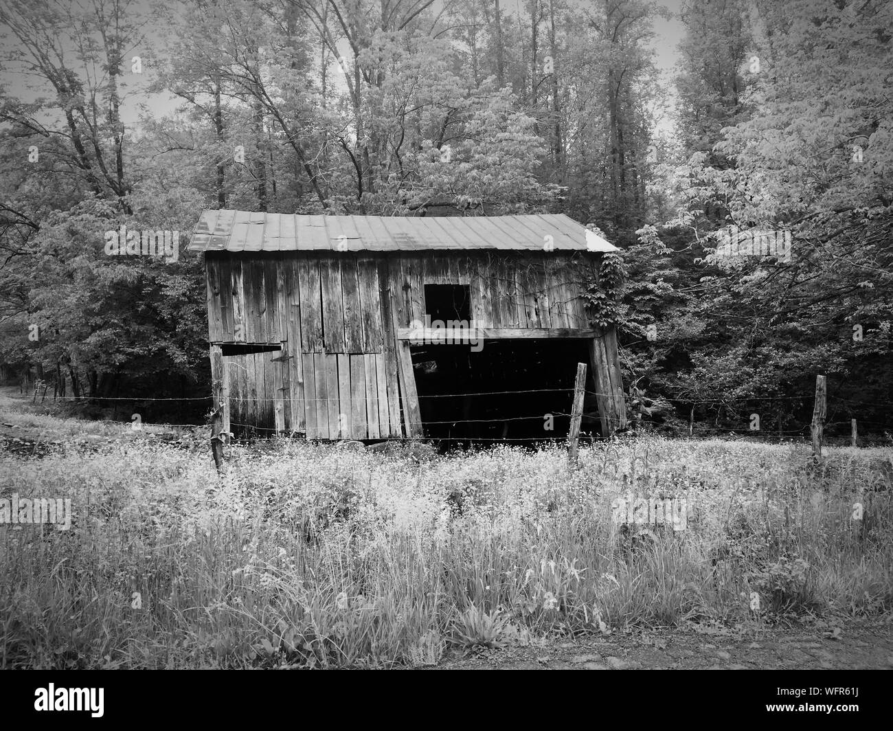 Spooky old house Black and White Stock Photos & Images - Alamy