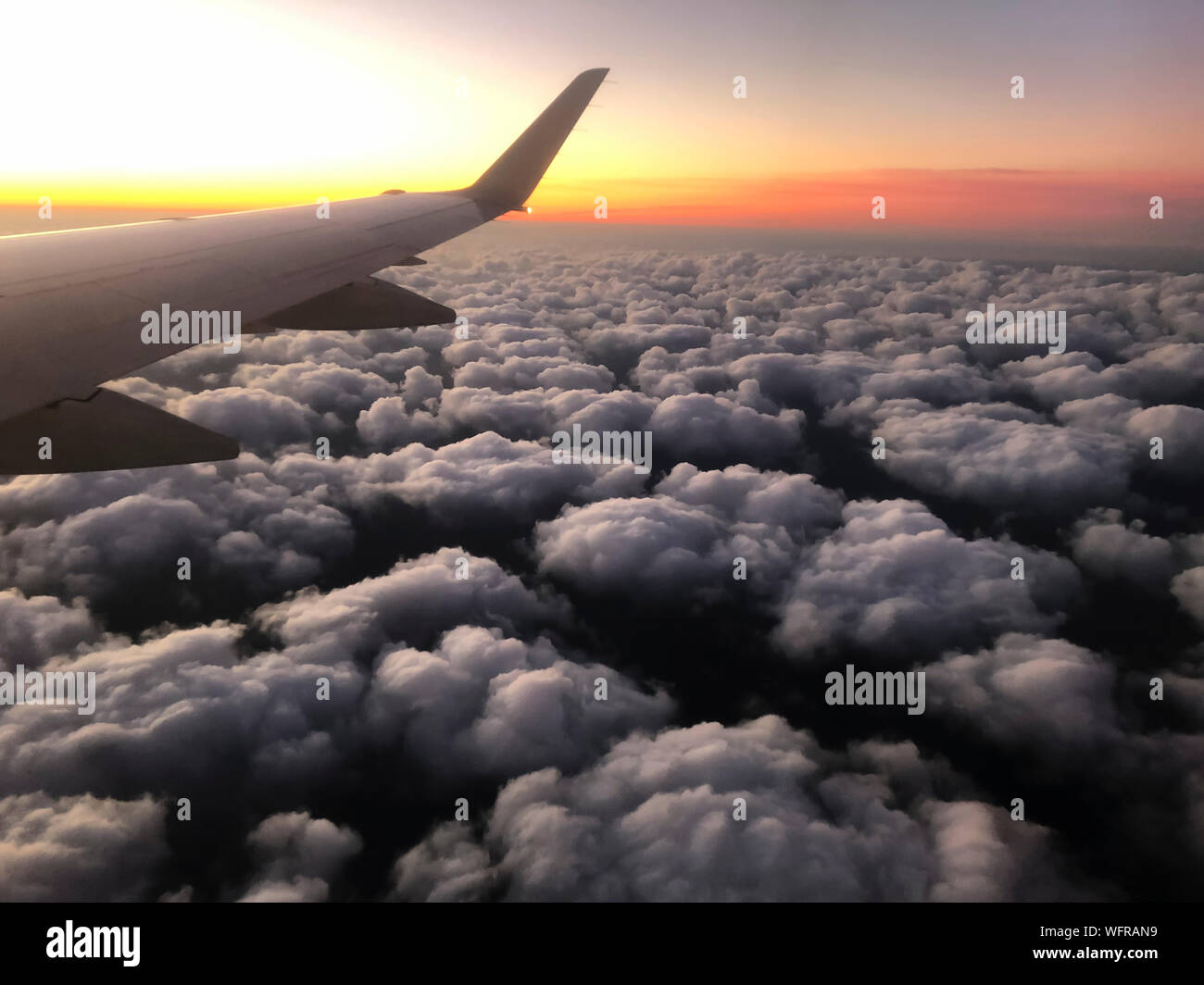 Looking out of the window of a passenger aircraft in flight at hight altitude above fluffy cirrocumulus clouds in the early morning twilight. Stock Photo