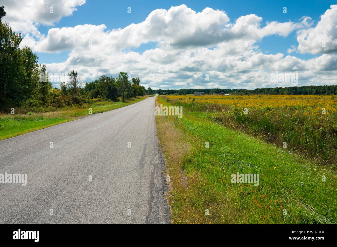 Country road in upstate New York Stock Photo