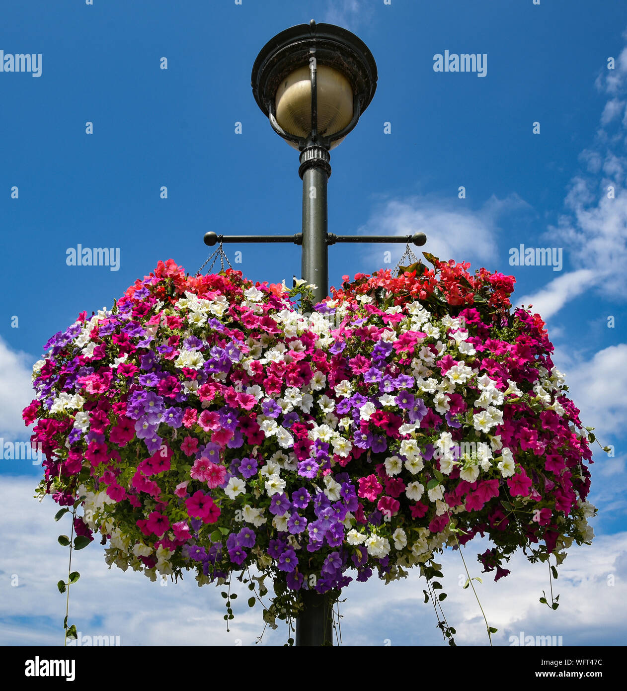 Street Flower Basket Stock Photo