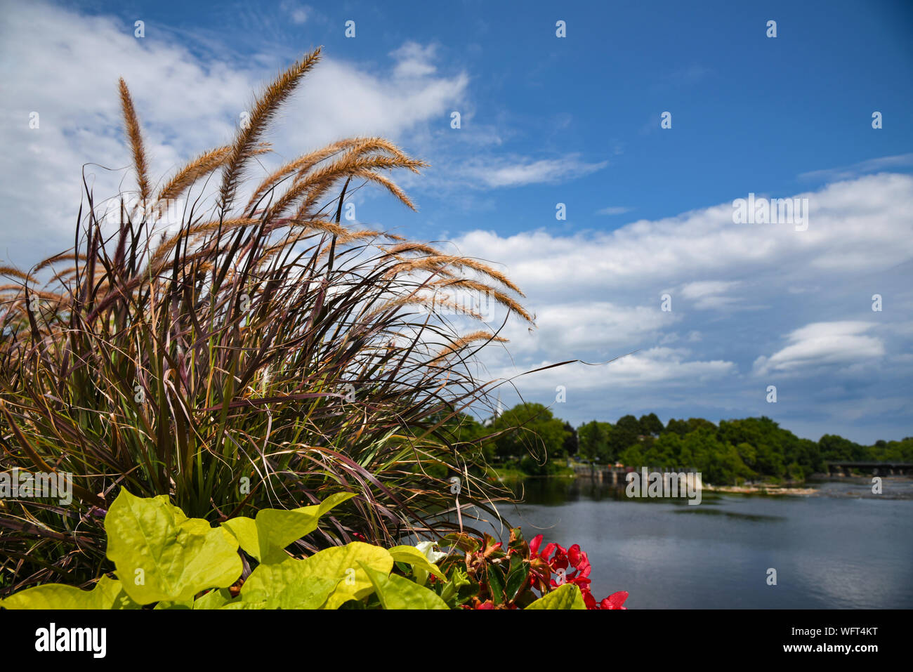 Mississippi river view hi-res stock photography and images - Alamy