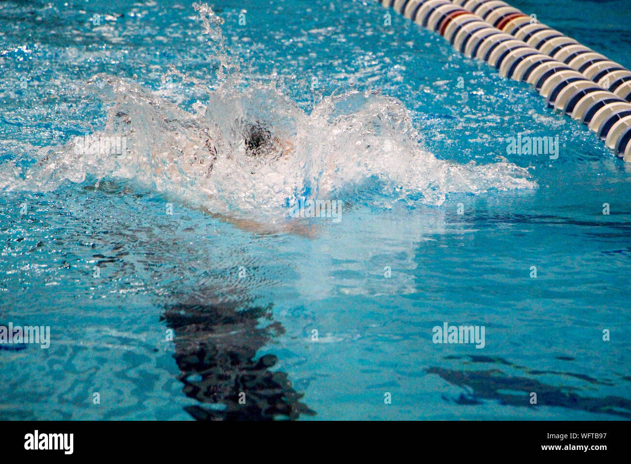 Male swimmer swimming pool hi-res stock photography and images - Alamy