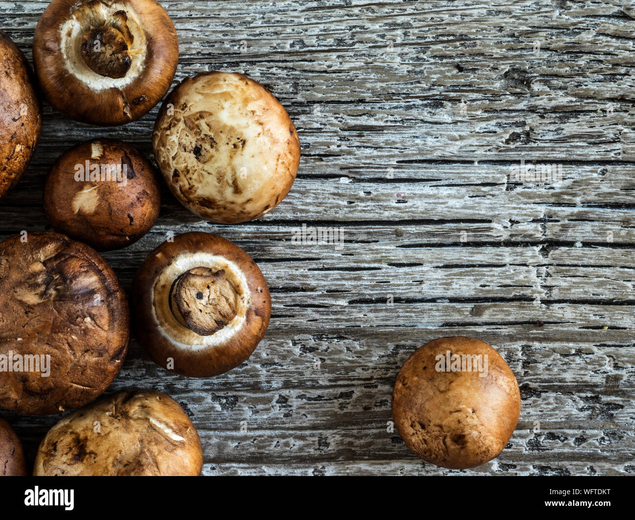 Directly Above Shot Of Edible Mushrooms On Wooden Table Stock Photo
