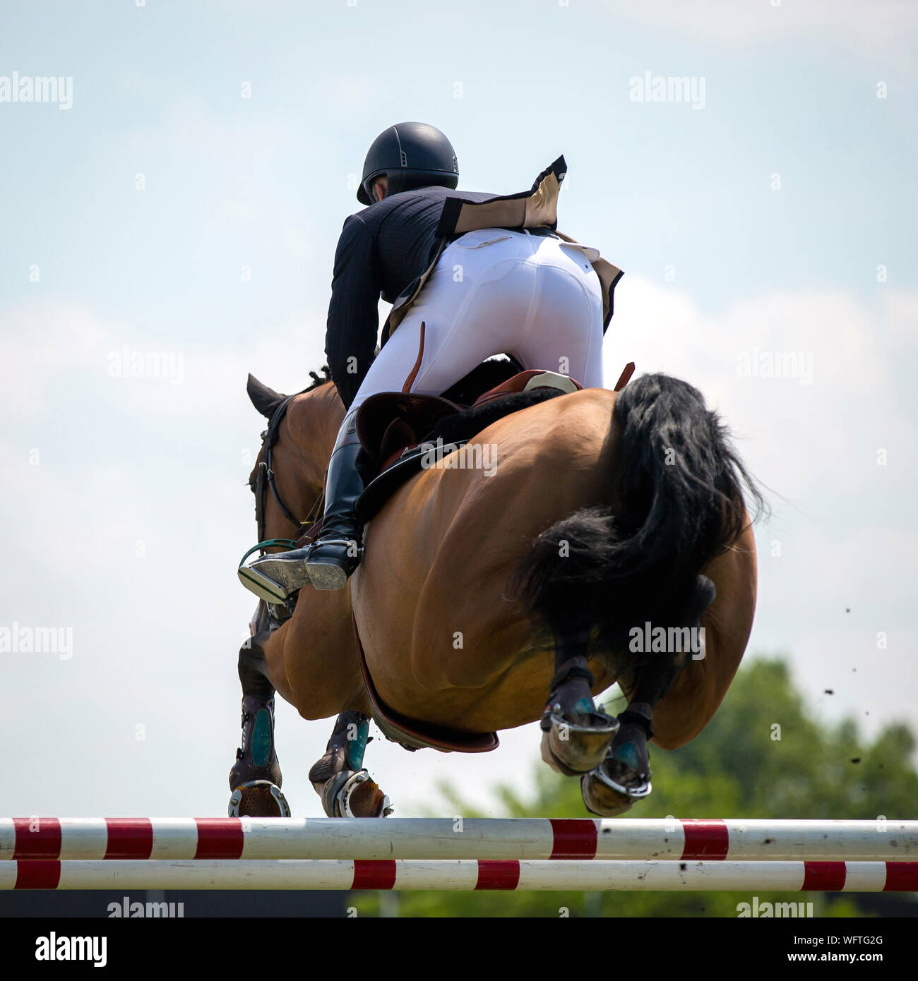 Hurdling horse racing hires stock photography and images Alamy