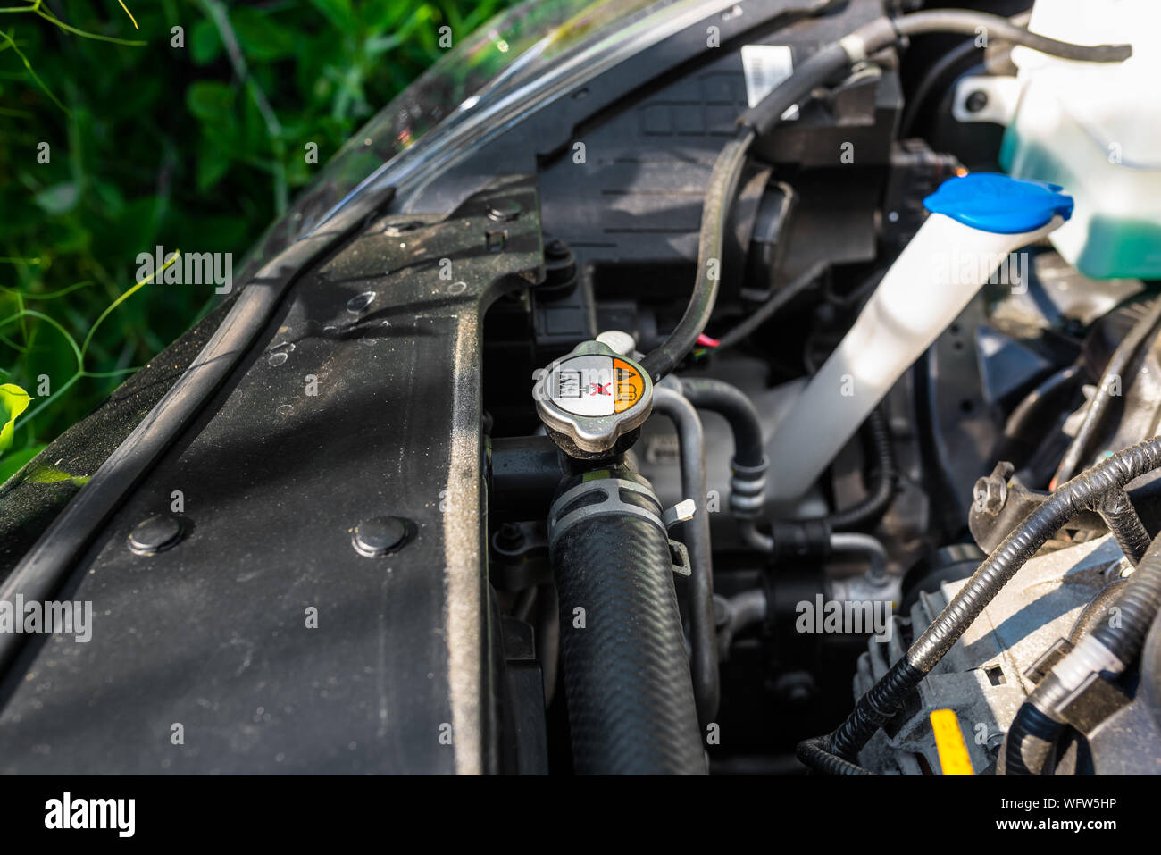 Hose connecting the car radiator with the engine, In the background the