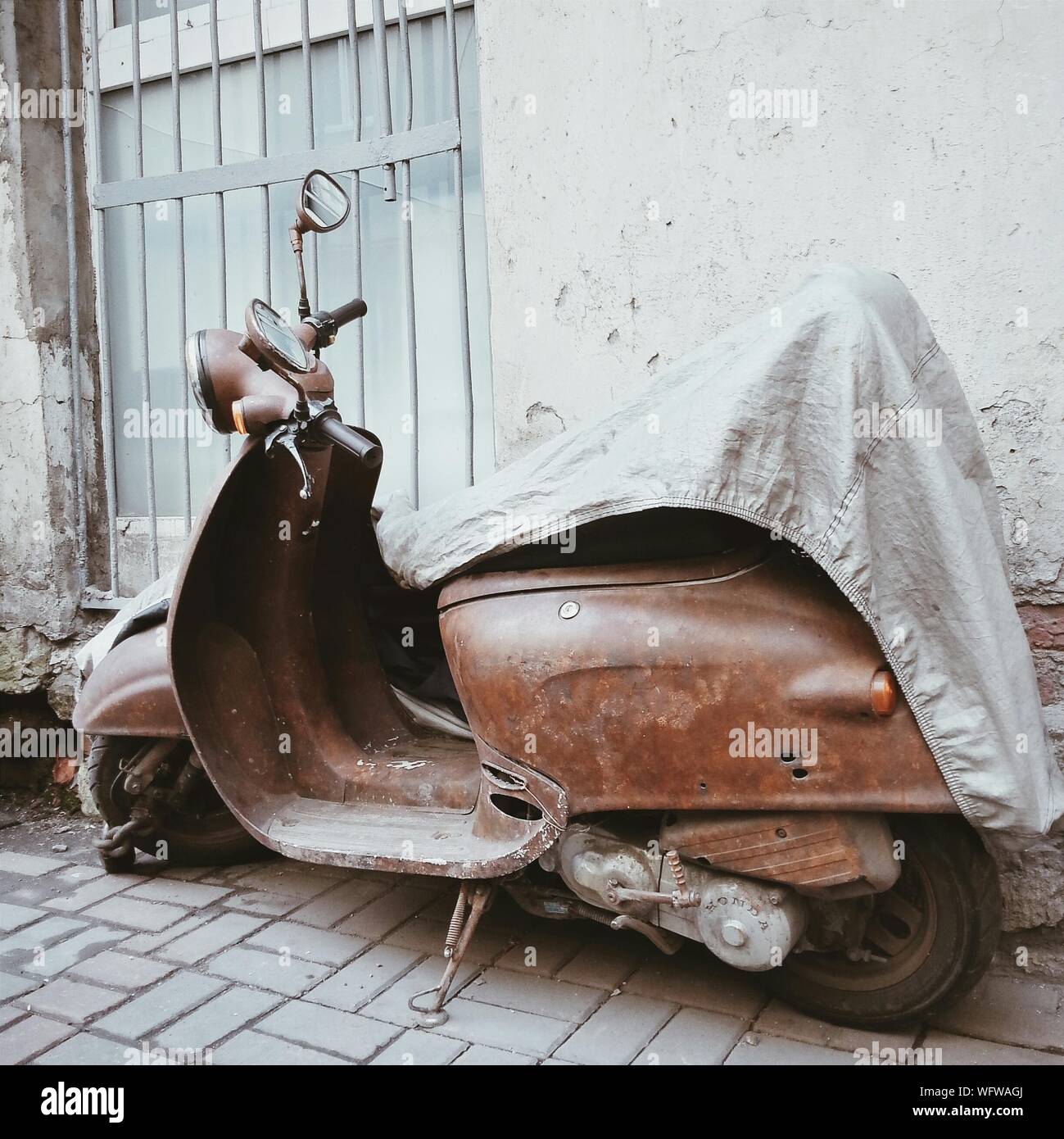 moped tarp