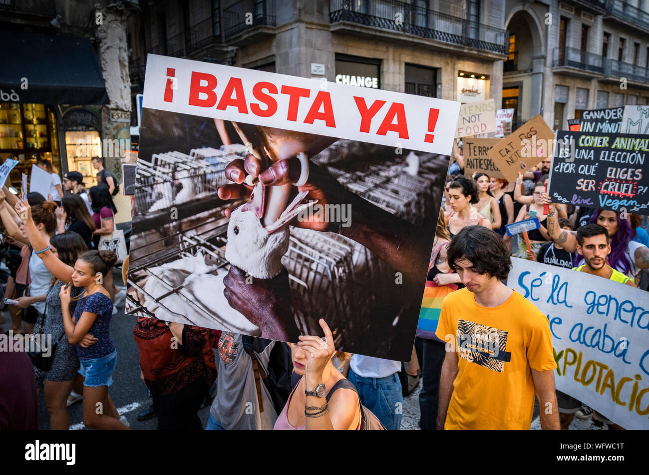 A protester holds a placard against forced feeding of geese during the demonstration.Convened by the Barcelona Animal Save organisation hundreds of people have demonstrated in defence of animal rights and a vegan diet. Stock Photo