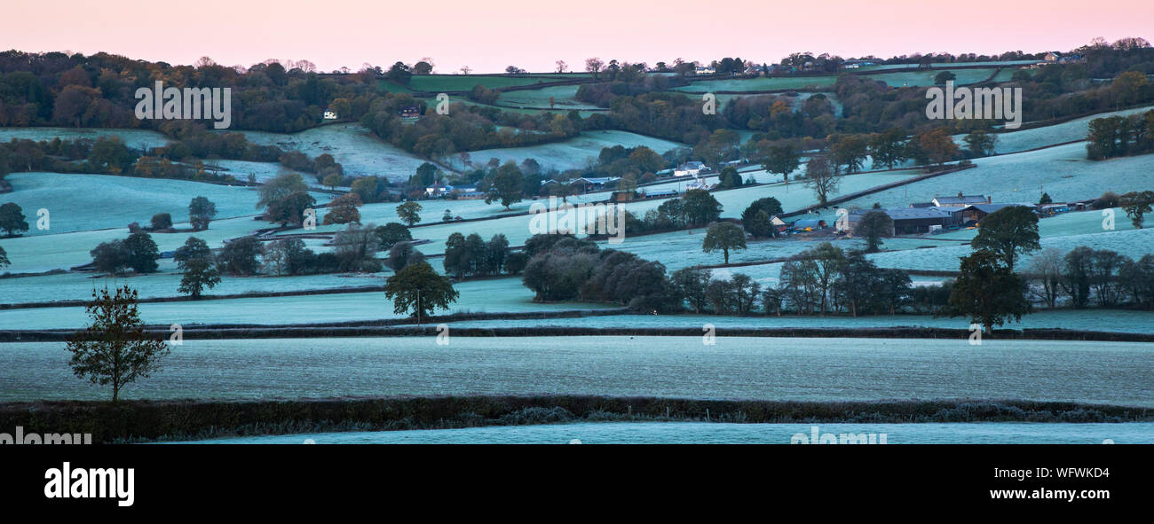 Early morning frost on the Blackdown hills, Somerset Stock Photo