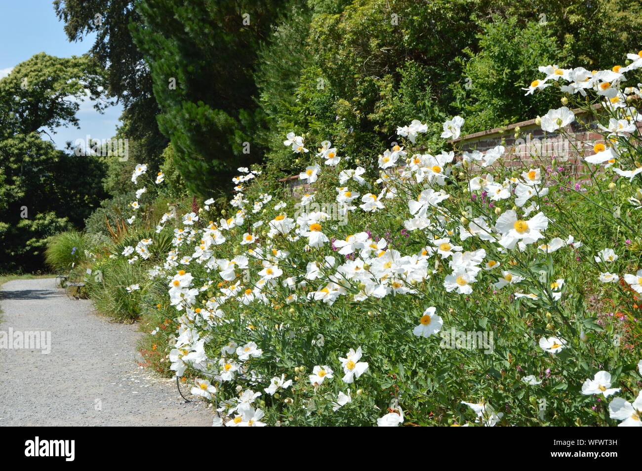 Greenway House Gardens, Devon, England Stock Photo Alamy