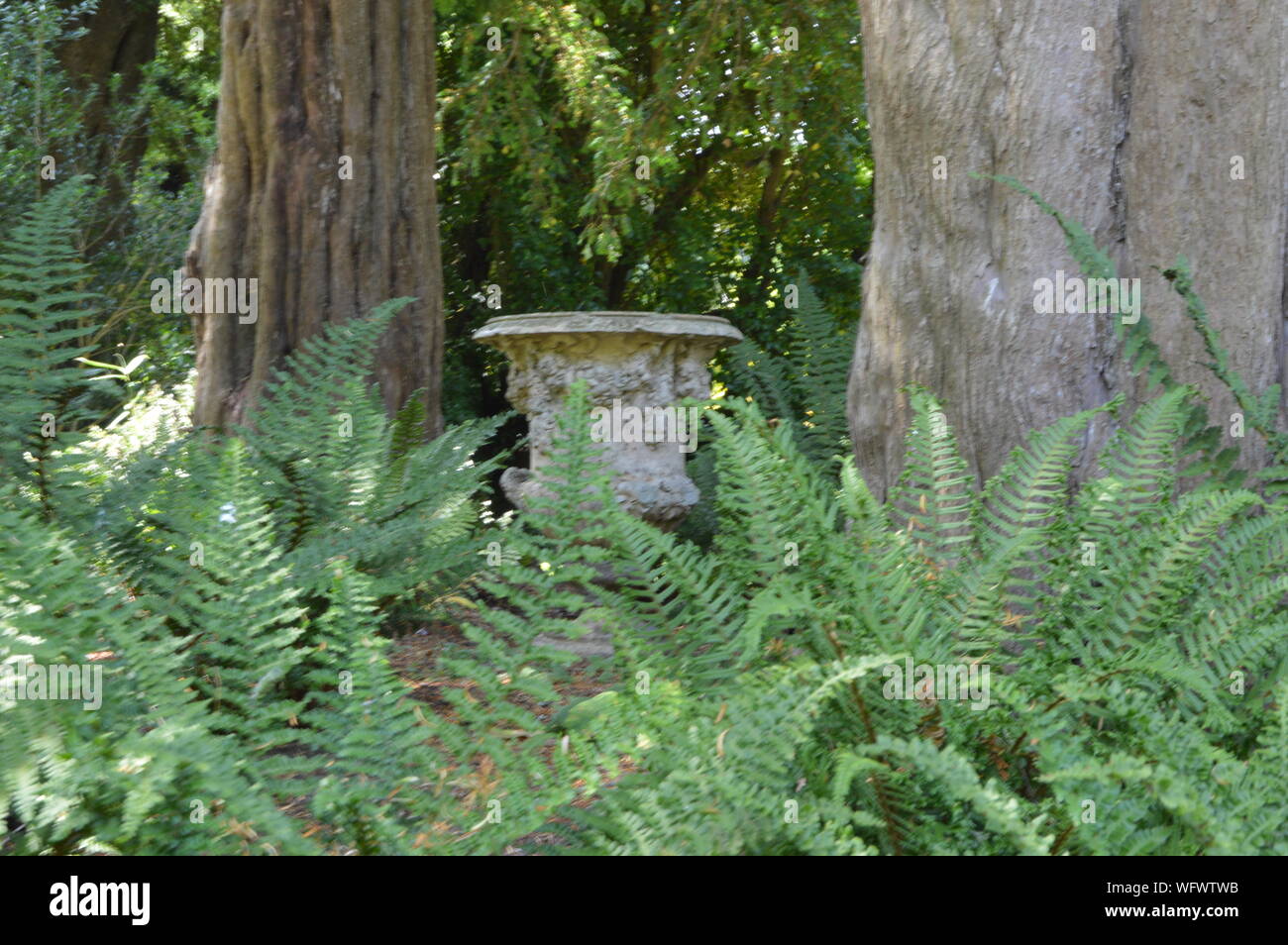 Greenway House Gardens, Devon, England Stock Photo Alamy