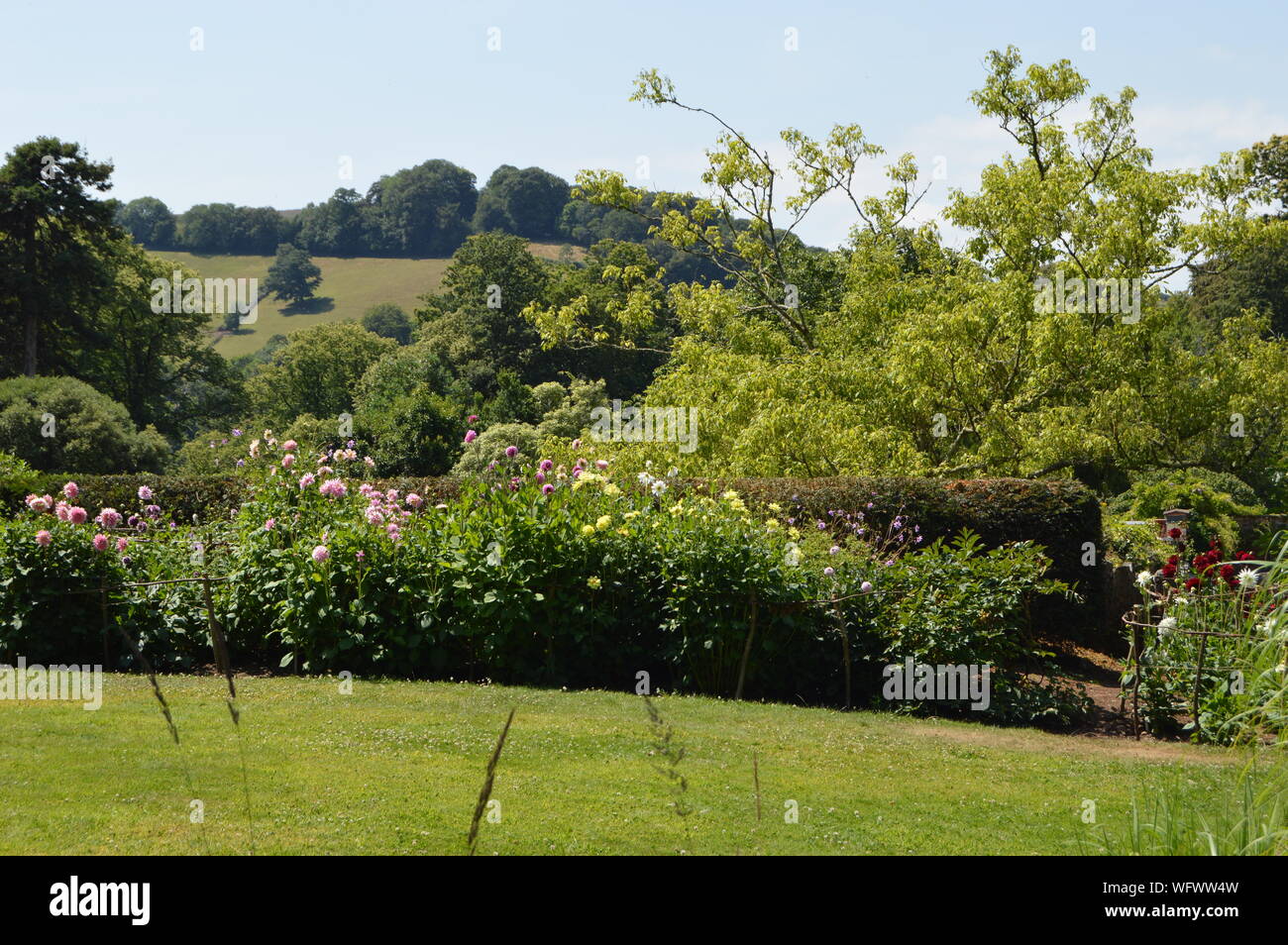 Greenway House Gardens, Devon, England Stock Photo Alamy