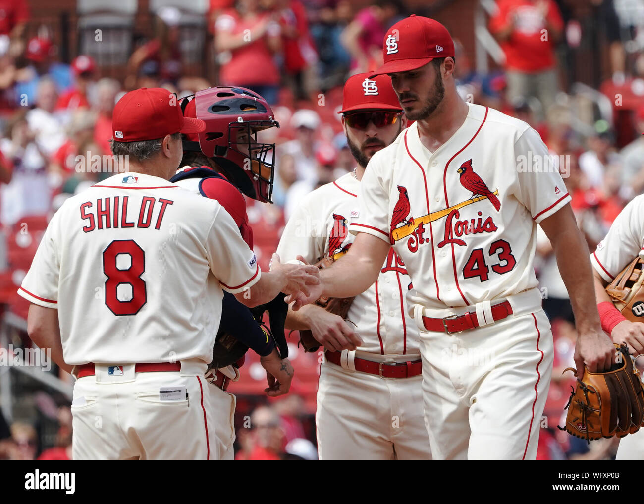 St. Louis Cardinals starting pitcher Dakota Hudson hands the baseball off to manager MIke Schildt as he leaves the game in the seventh inning against the Cincinnati Reds at Busch Stadium in St. Louis on SAturday, August 31, 2019. St. Louis defeated Cincinnati 10-6.  Photo by Bill Grenblatt/UPI Stock Photo