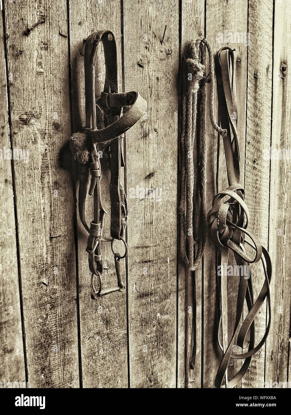 Old Bridles And Rope Hanging On Wooden Wall Stock Photo Alamy