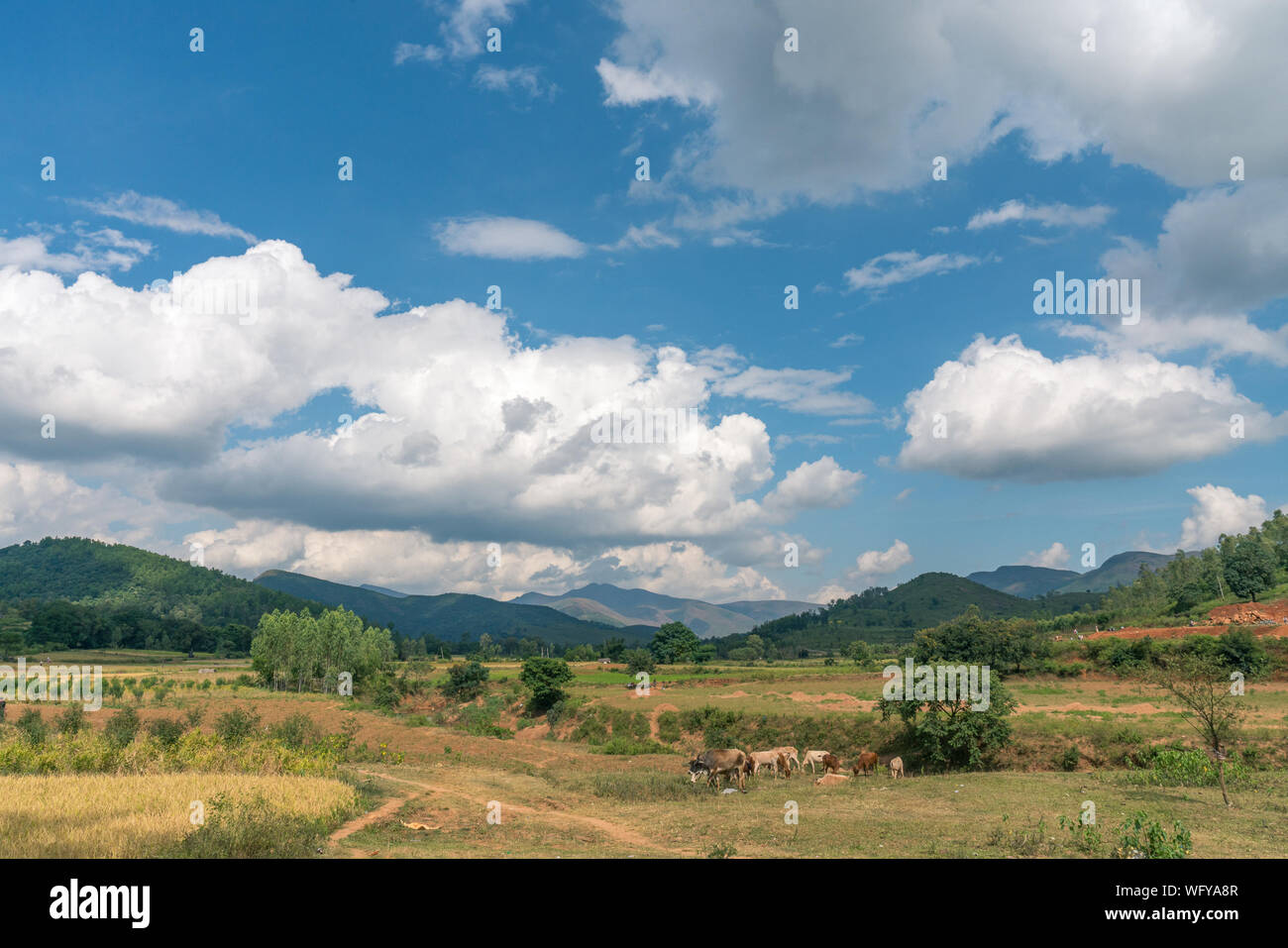 Odisha, India Stock Photo