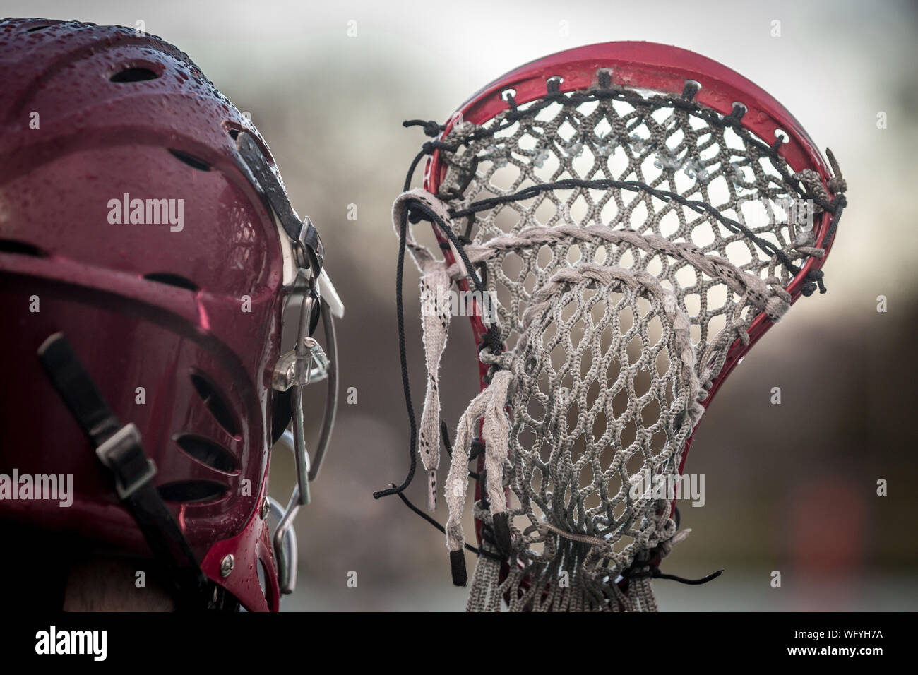 Lacrosse stick no people High Resolution Stock Photography and Images