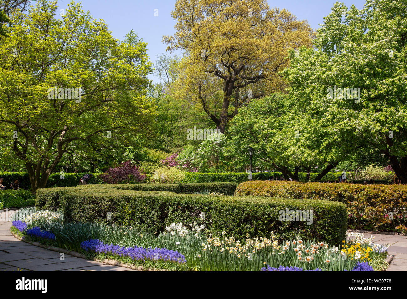 Central Park's Conservatory Garden in spring. Stock Photo