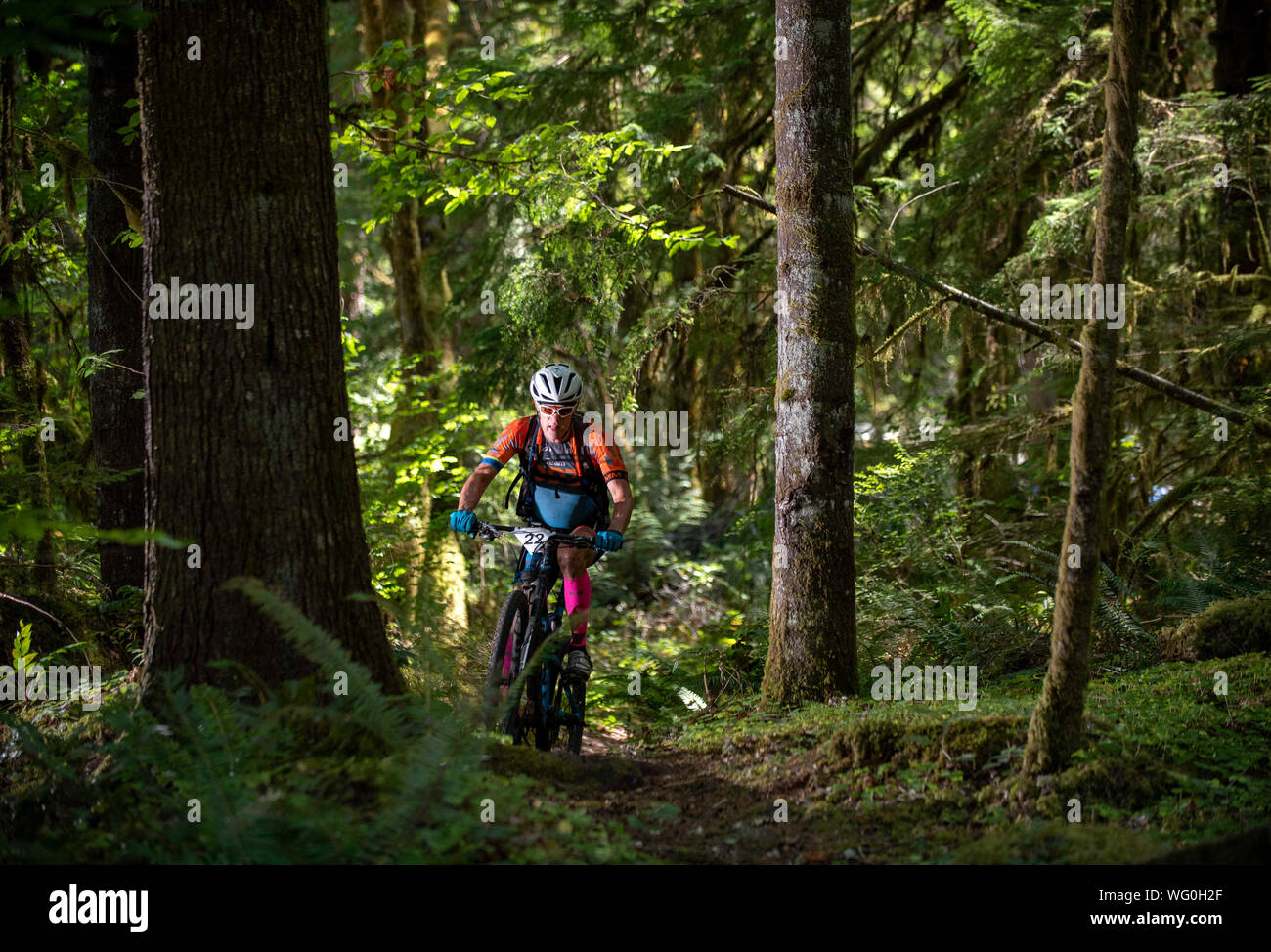 50 mile mountain bike race
