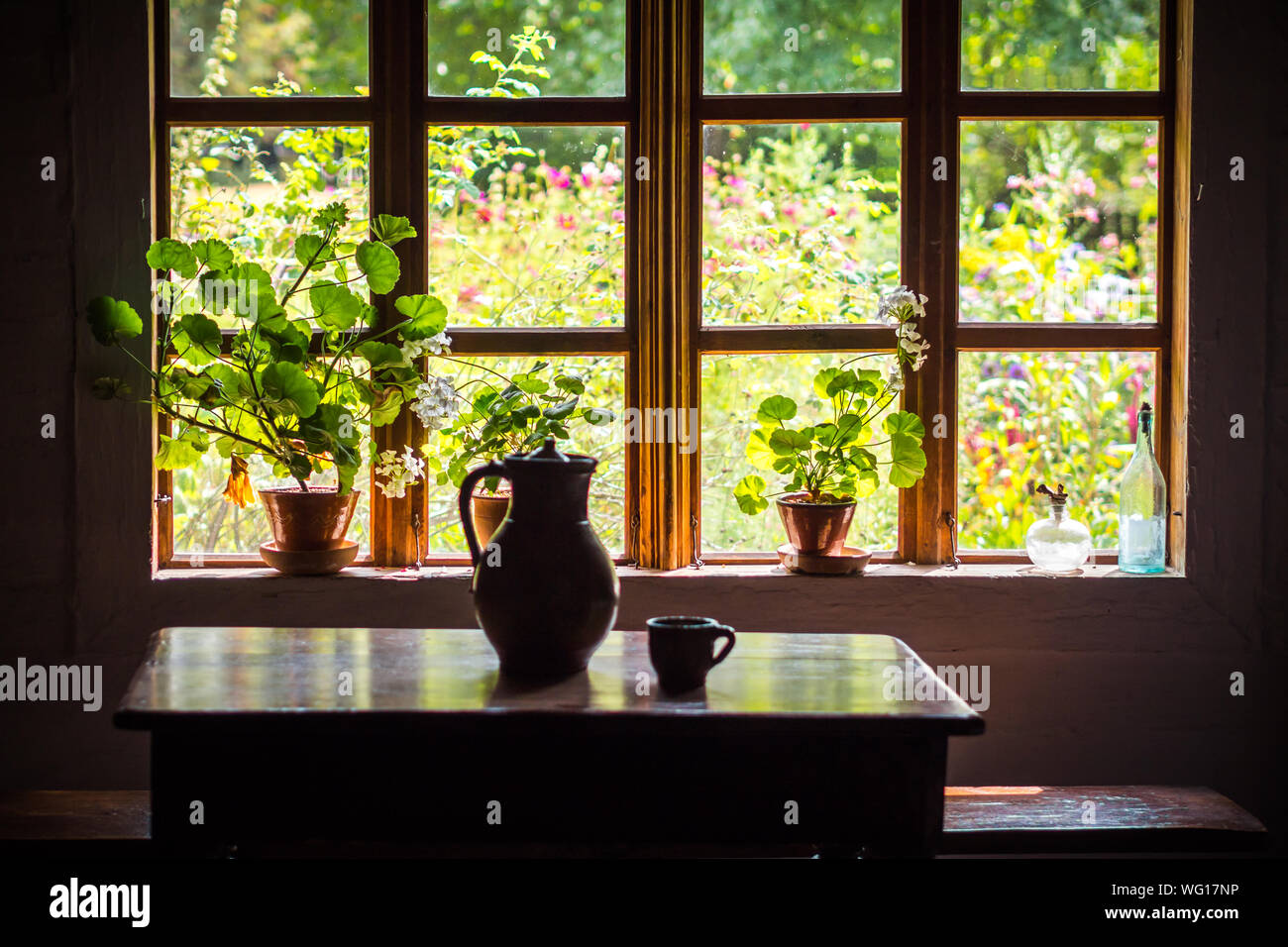 Plants window sill indoors hires stock photography and images Alamy