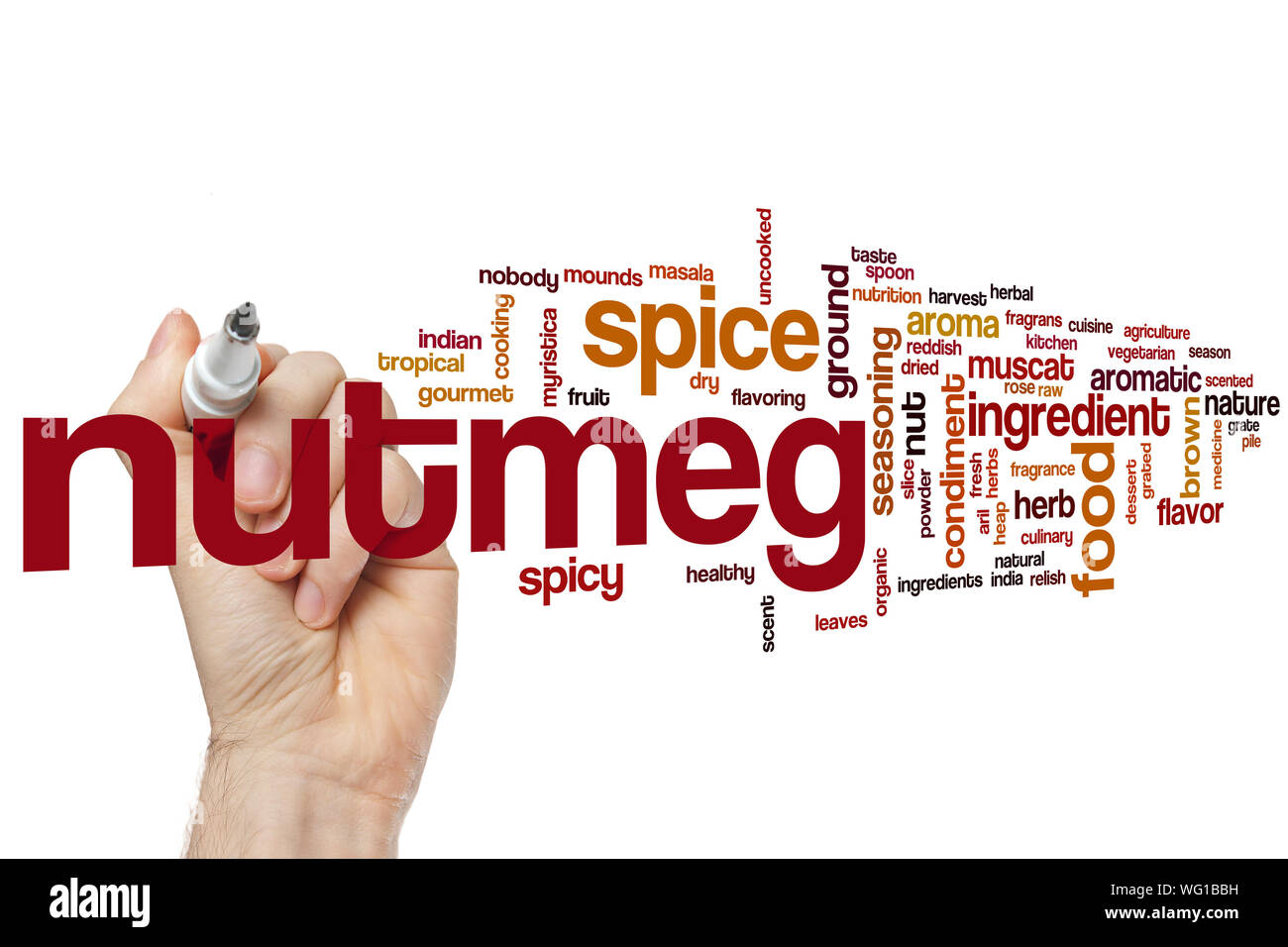 Nutmeg word cloud concept Stock Photo Alamy