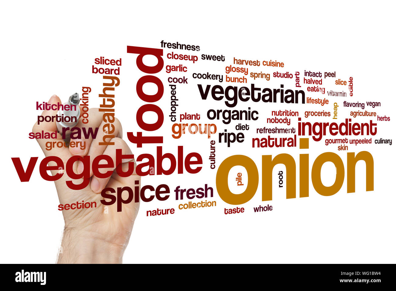 Onion word cloud concept Stock Photo Alamy
