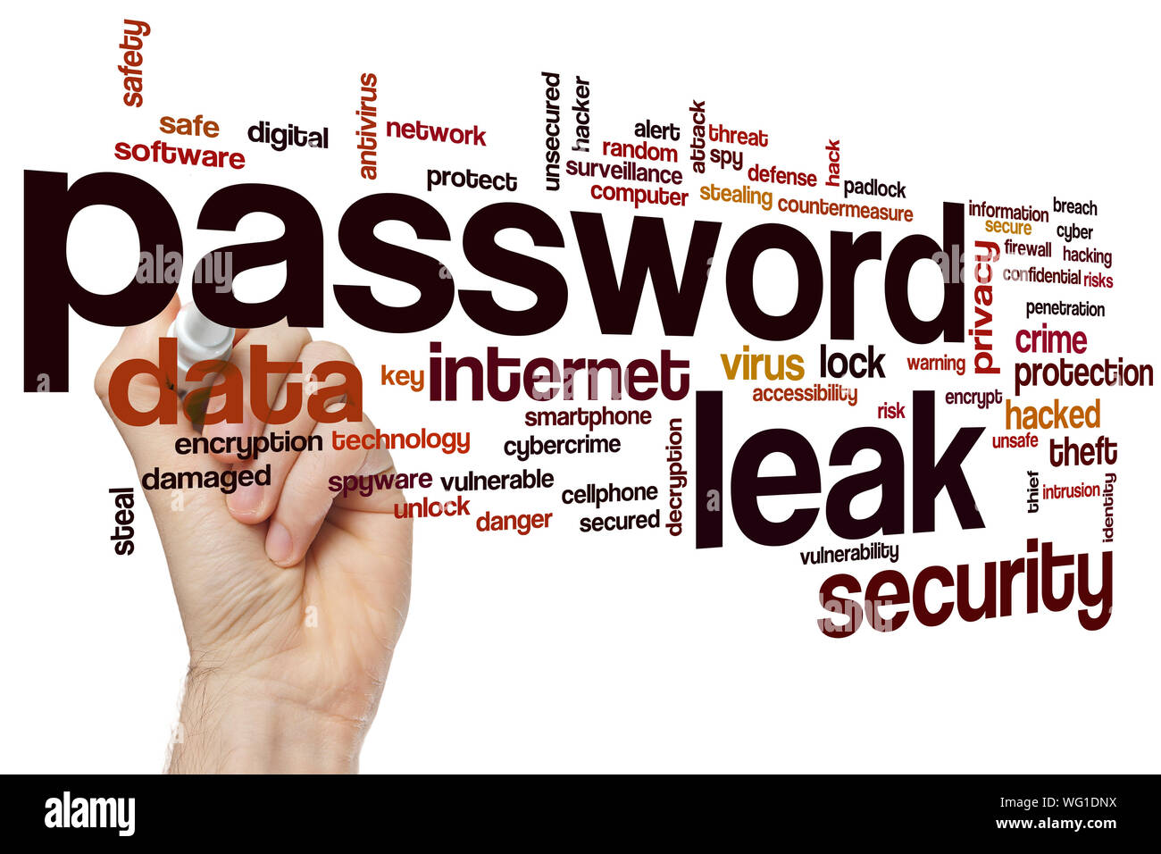 Password leak word cloud concept Stock Photo
