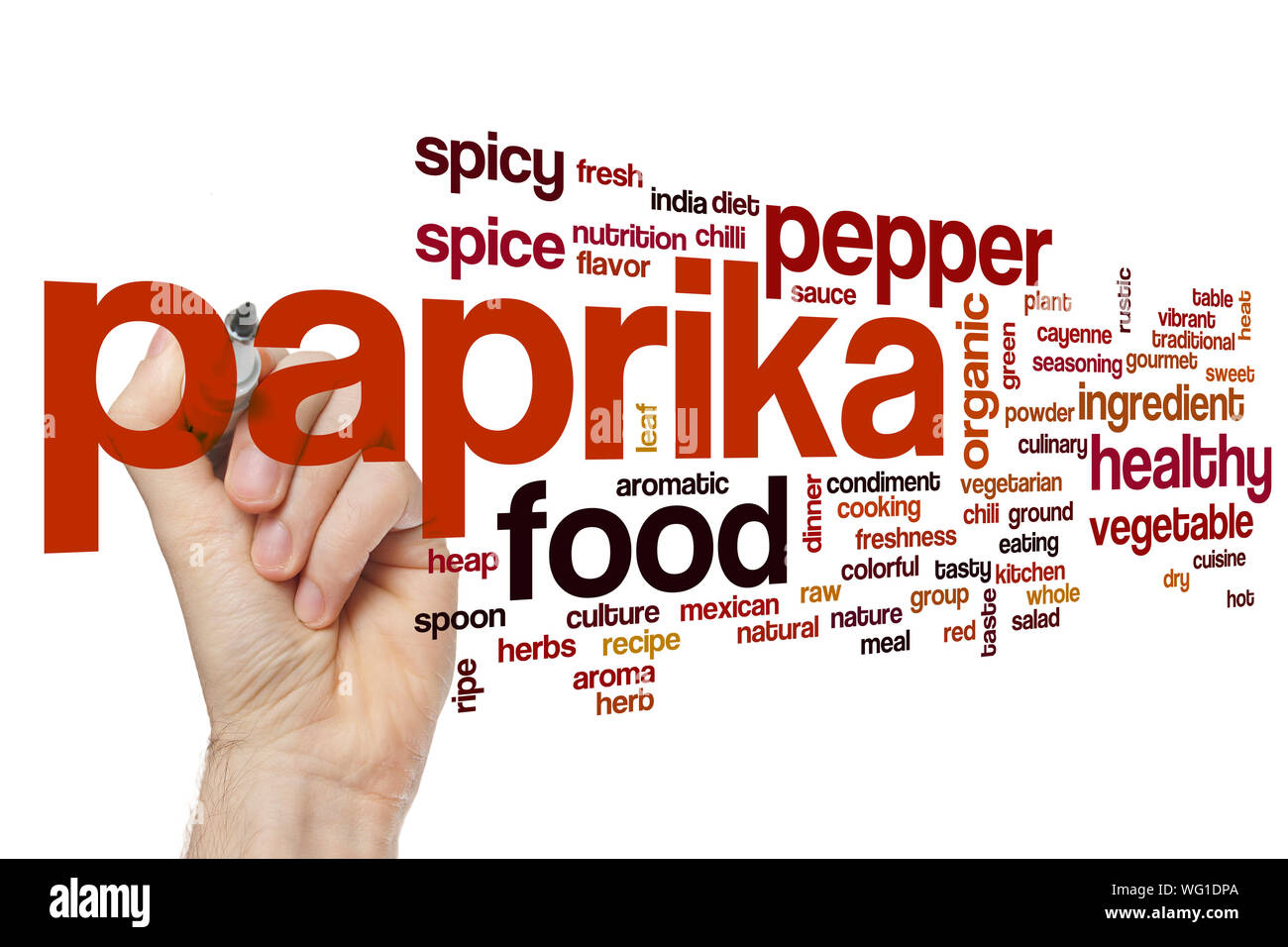 Paprika word cloud concept Stock Photo Alamy