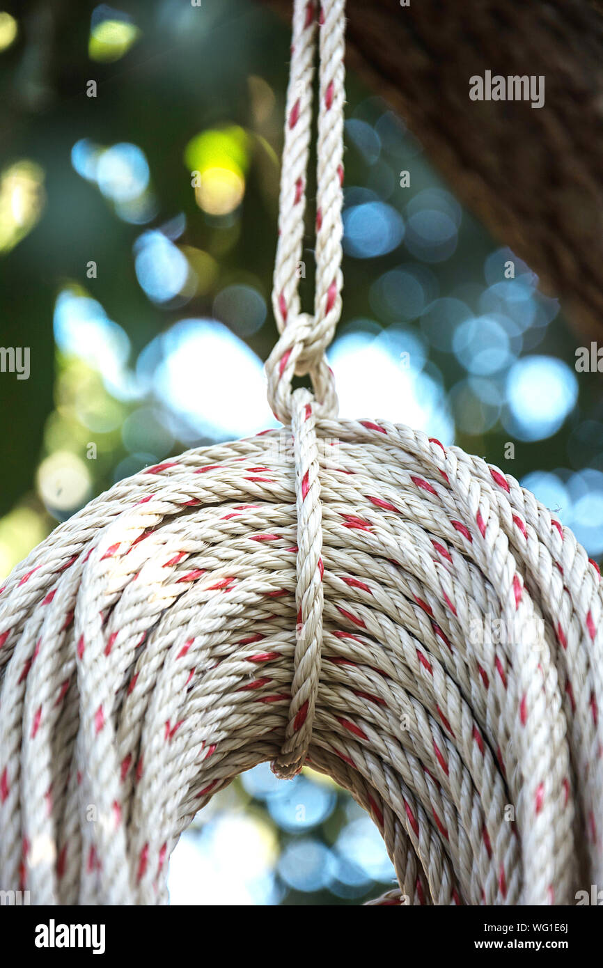 Tied White Ropes Hanging From Tree Stock Photo Alamy