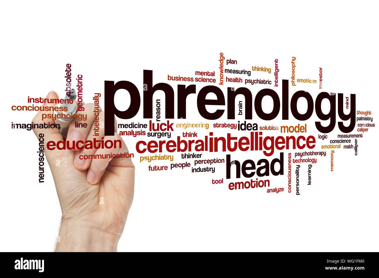 Phrenology word cloud concept Stock Photo