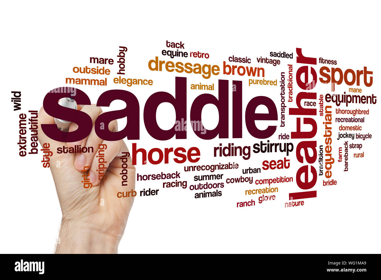 Saddle word cloud concept Stock Photo