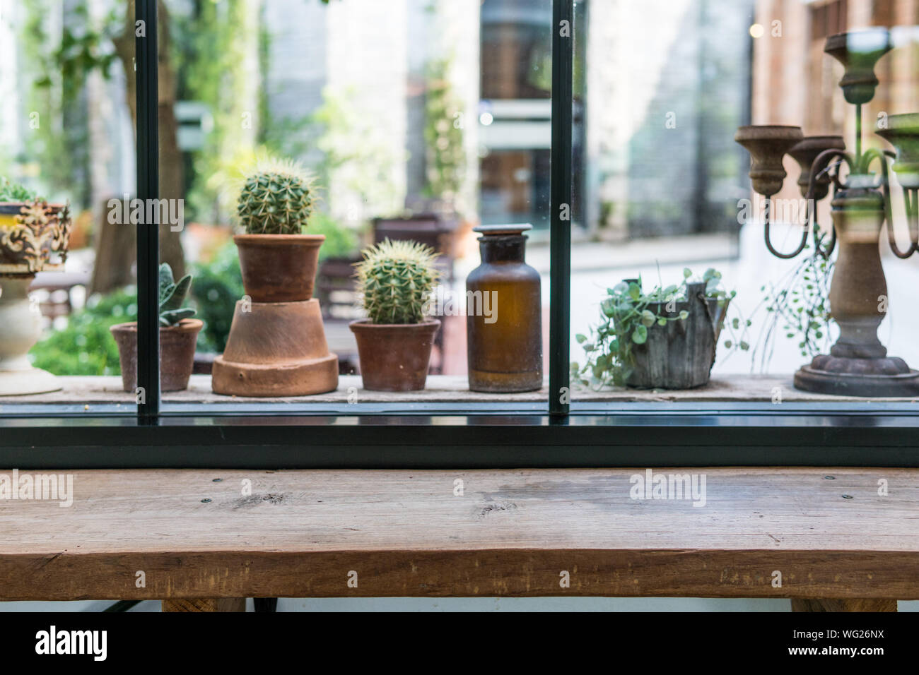 Plants Window Sill Indoors High Resolution Stock Photography and Images