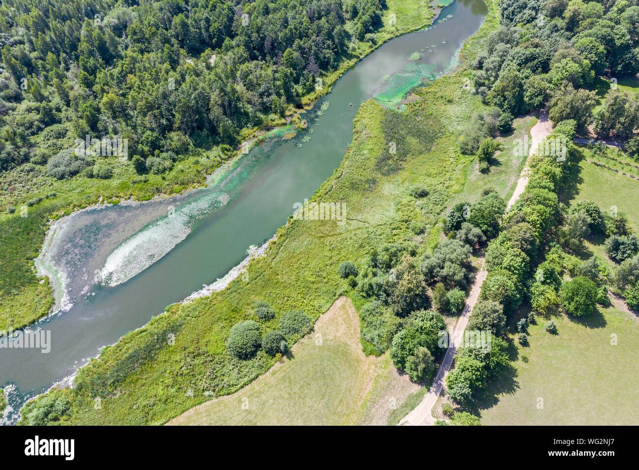 aerial top view of summer park natural landscape with green trees ...