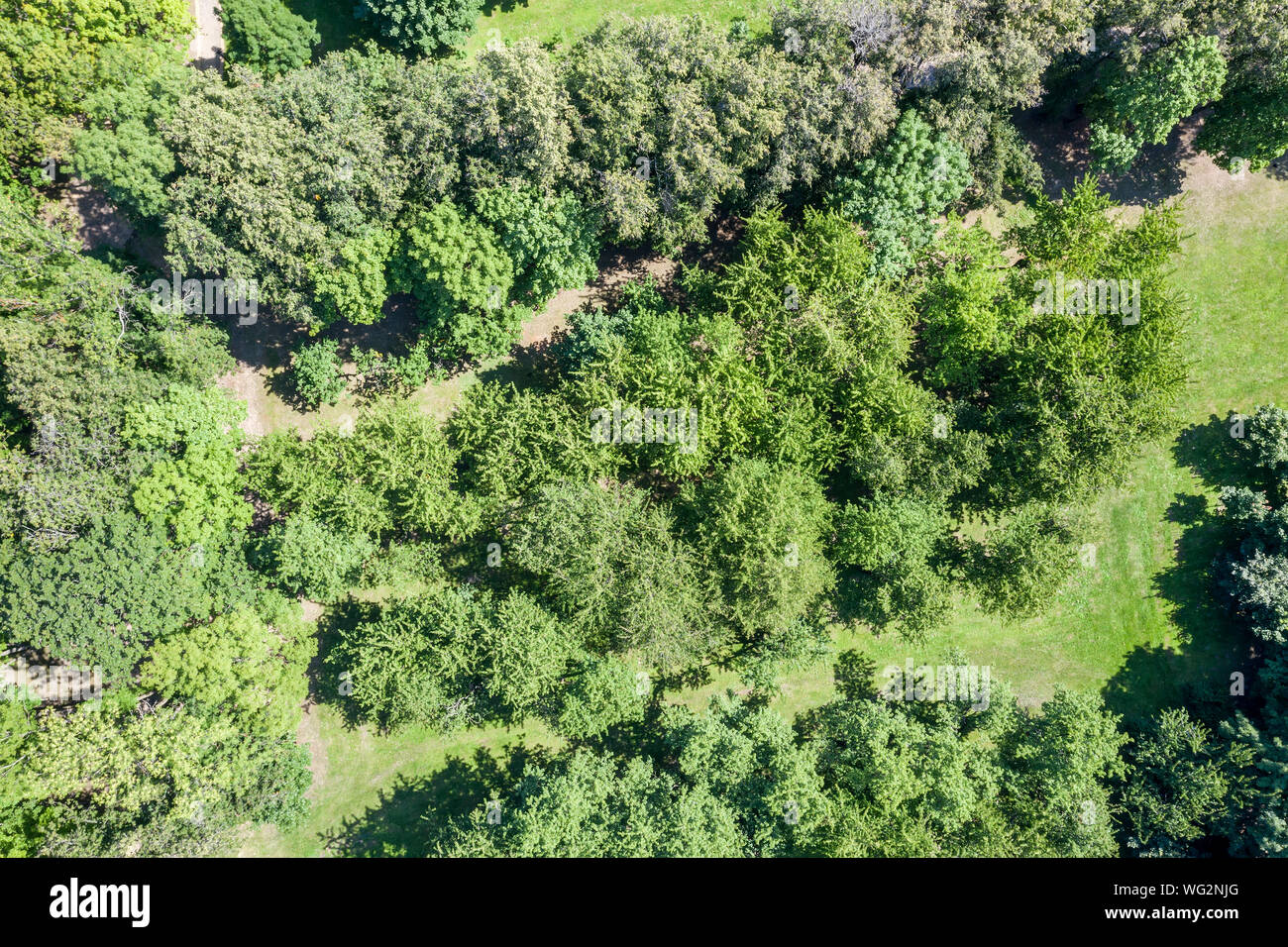 summer natural landscape. aerial top view of green park trees and lawns ...