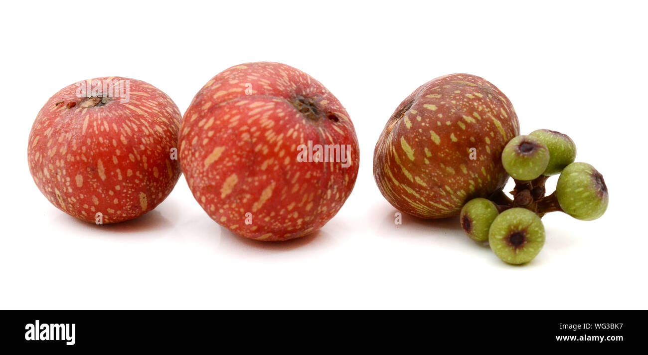 Fresh figs isolated on a white background Stock Photo