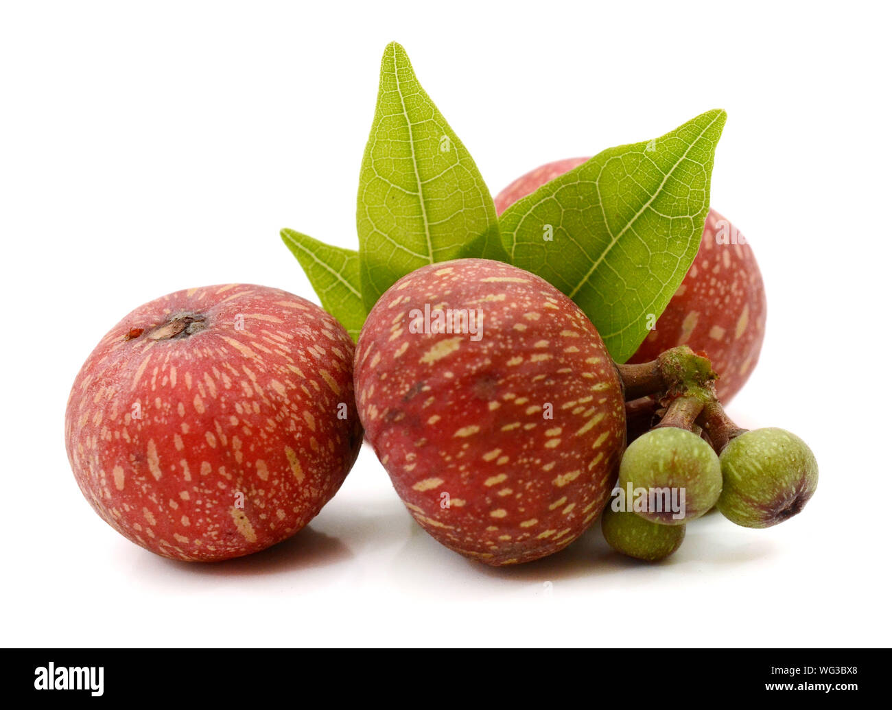 Fresh figs isolated on a white background Stock Photo