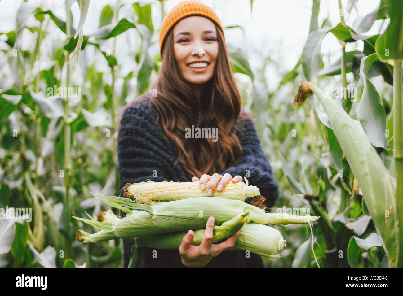 Beautiful carefree long hair asian girl in the yellow hat and knitted sweater holding cobs of corn in autumn field. Sensitivity to nature concept Stock Photo