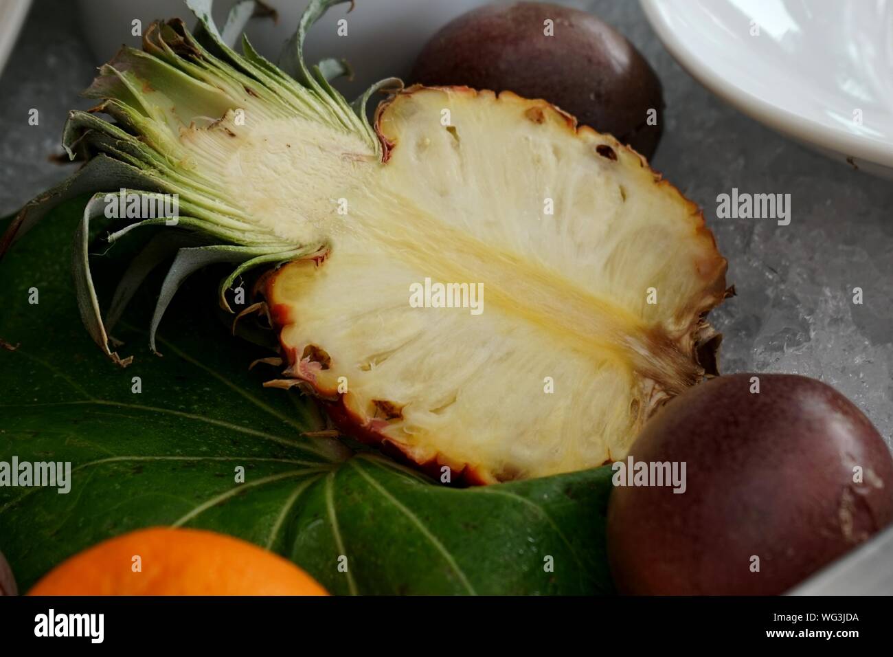 Leaf cross section hires stock photography and images Alamy