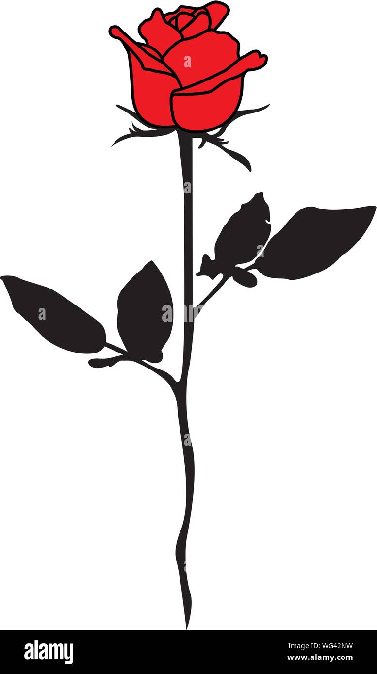 Rose Line Art Silhouette. Single Long Stem Rose Flower. Vector