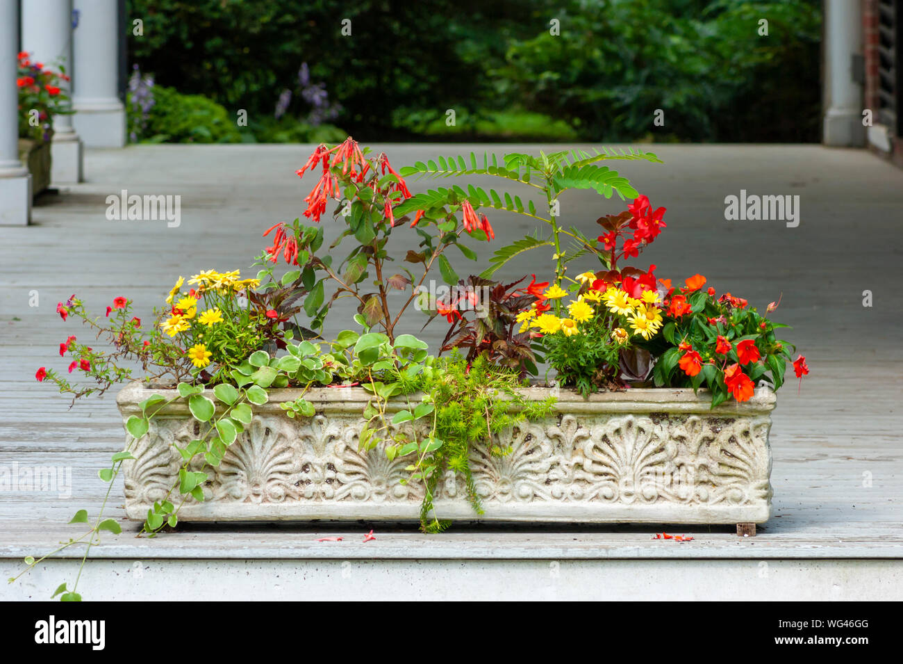 Flower box on a porch. Arrangement of red and yellow flowers and other plants. Sedgwick Gardens on Long Hill estate, in Beverly, MA Stock Photo