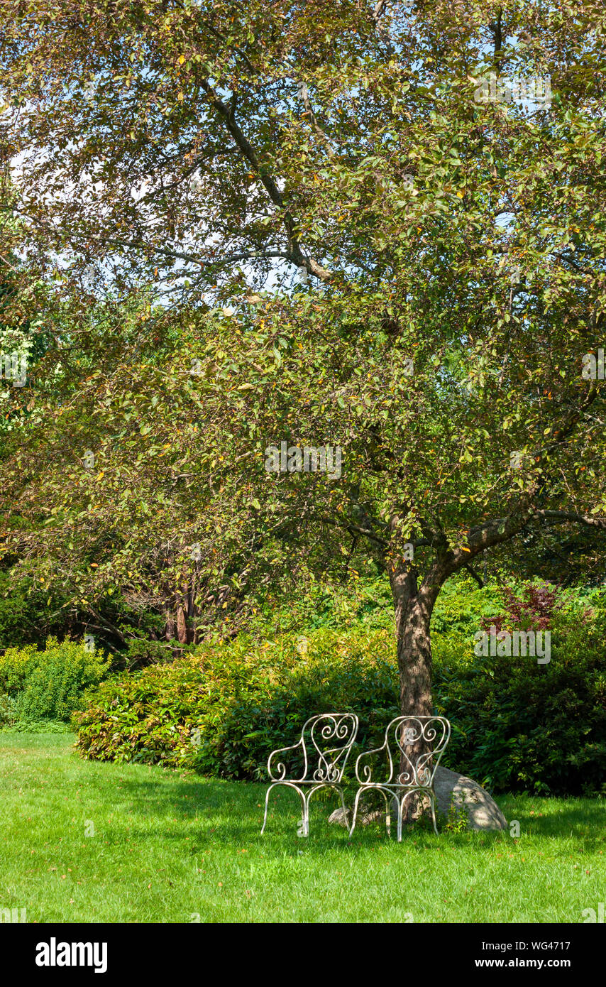 Garden lawn long grass tree hi-res stock photography and images - Alamy