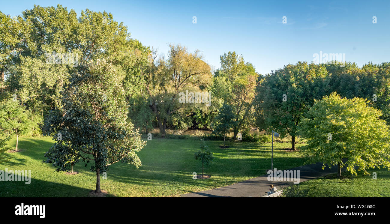 Panoramic view of green trees and meadow with early fall foliage