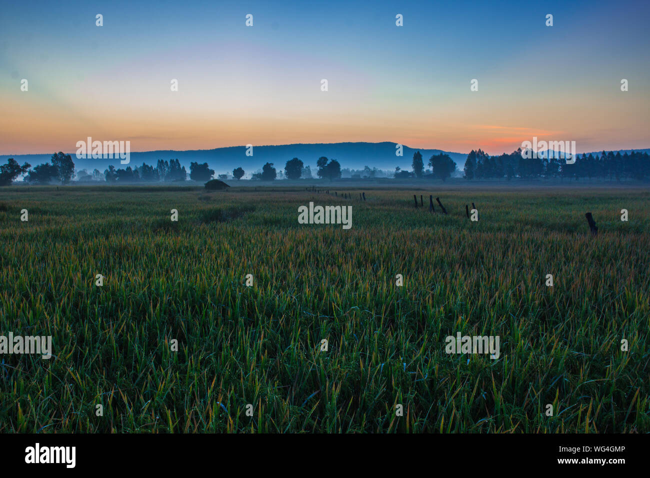 Scenic View Of Agricultural Field Against Sky During Sunset Stock Photo